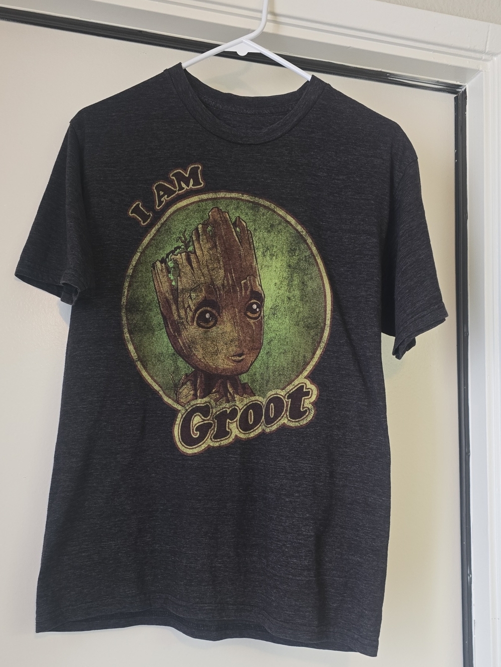 I Am Groot, Guardians Of The Galaxy Volume 2 Graphic T - Dark Gray